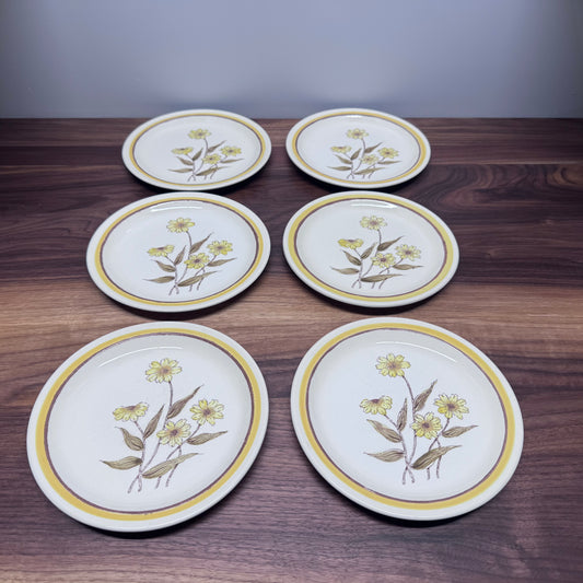 Forma Stone Hand Decorated Plates