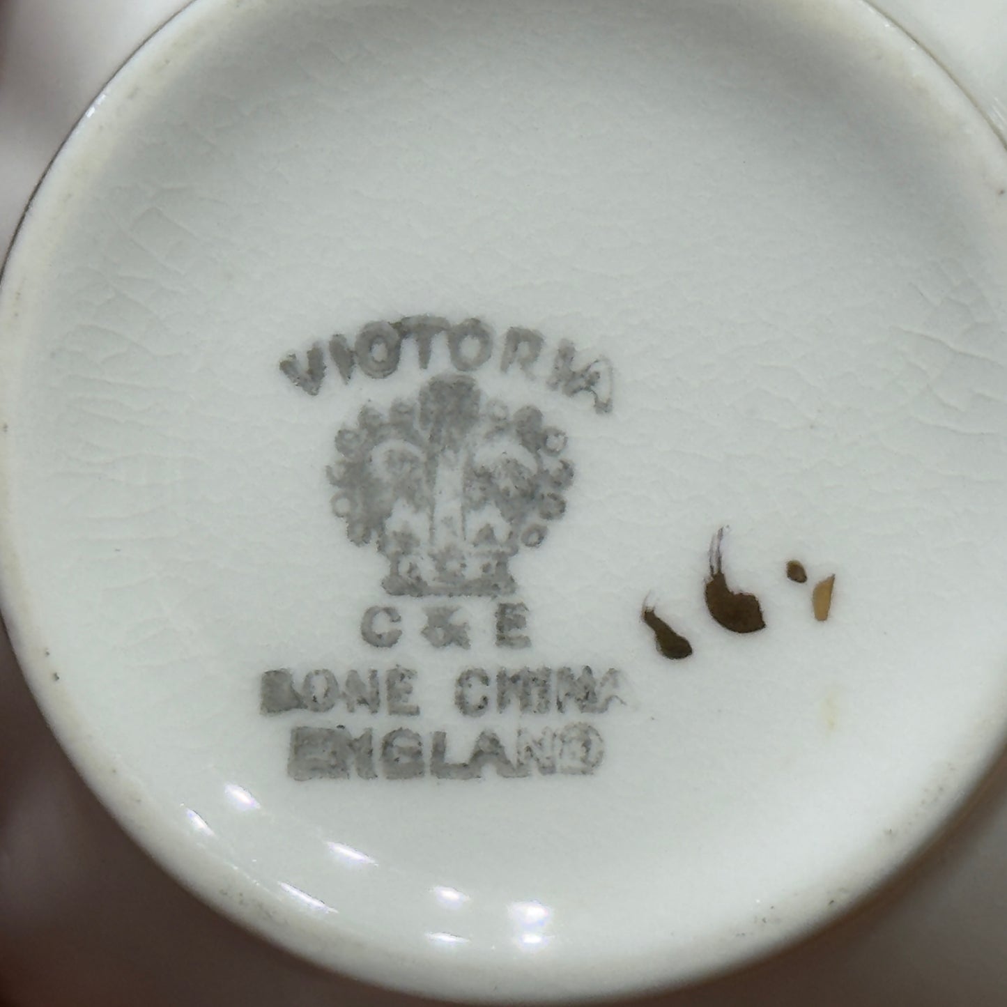 Victoria C & E Bone China Purple Pansy Teacup & Saucer Set