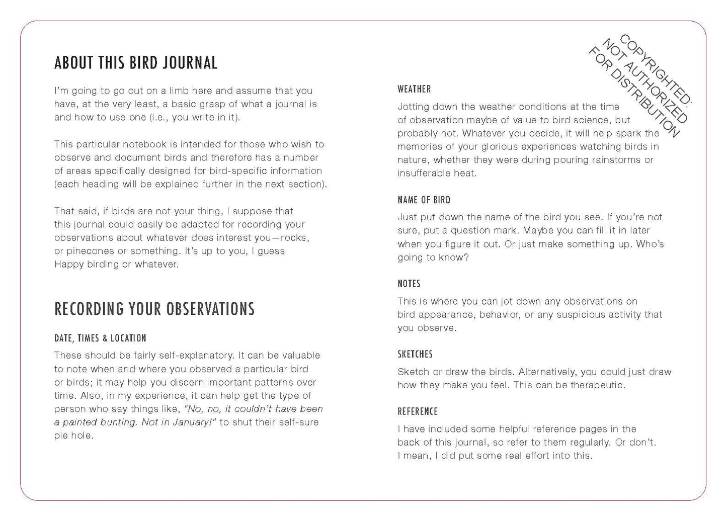 The Big Dumb Bird Journal