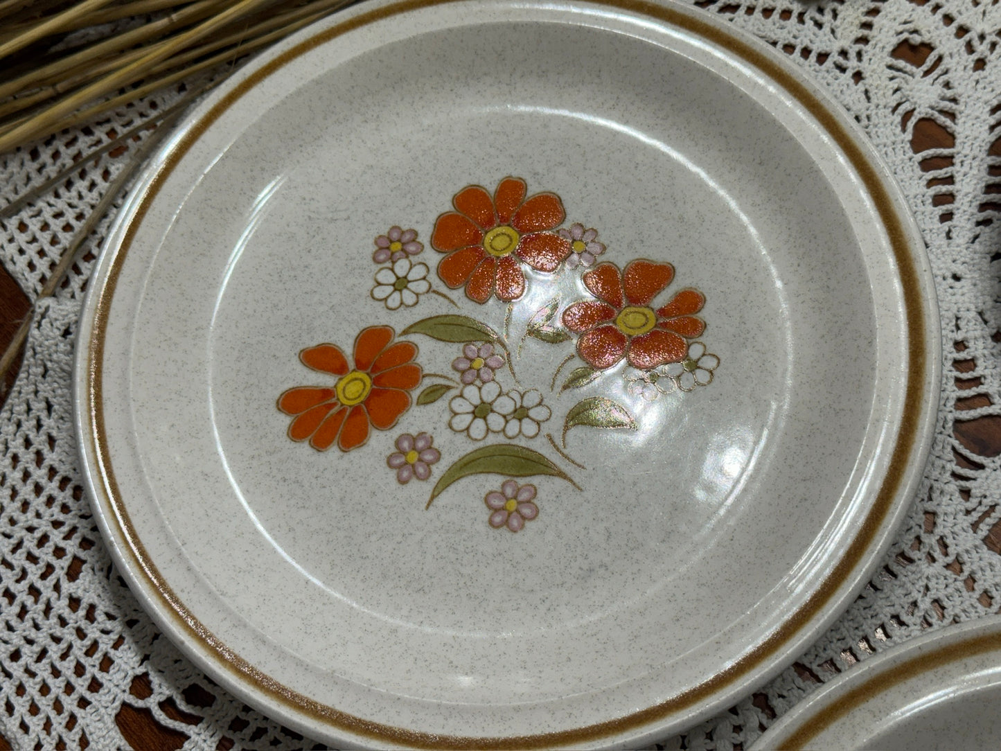 COLORSTONE Japan Dinner Plates