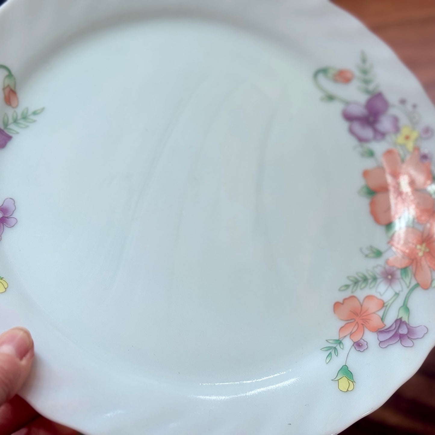 Surya Opal Indonesia Dishes