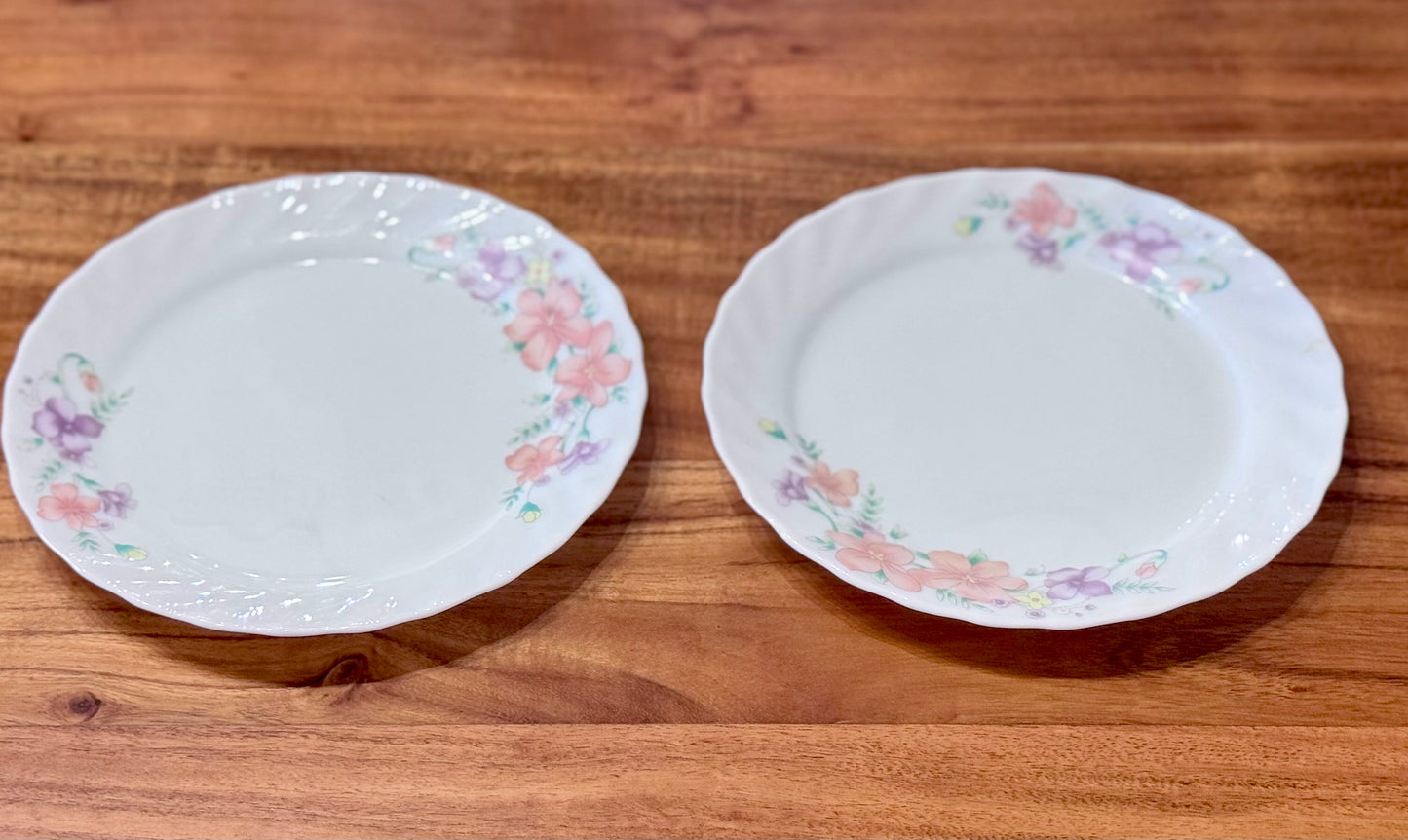 Surya Opal Indonesia Dishes