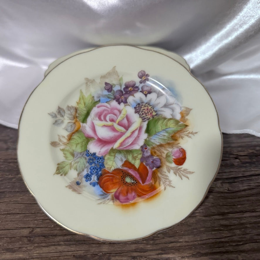 Hand Painted Saucers