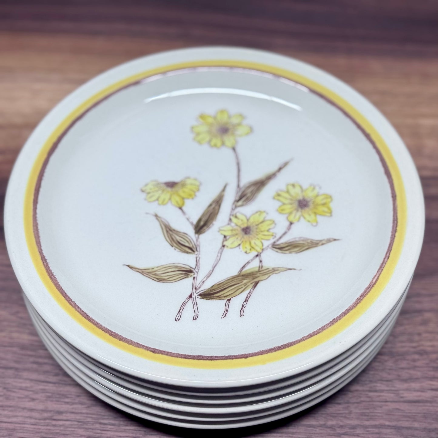 Forma Stone Hand Decorated Plates