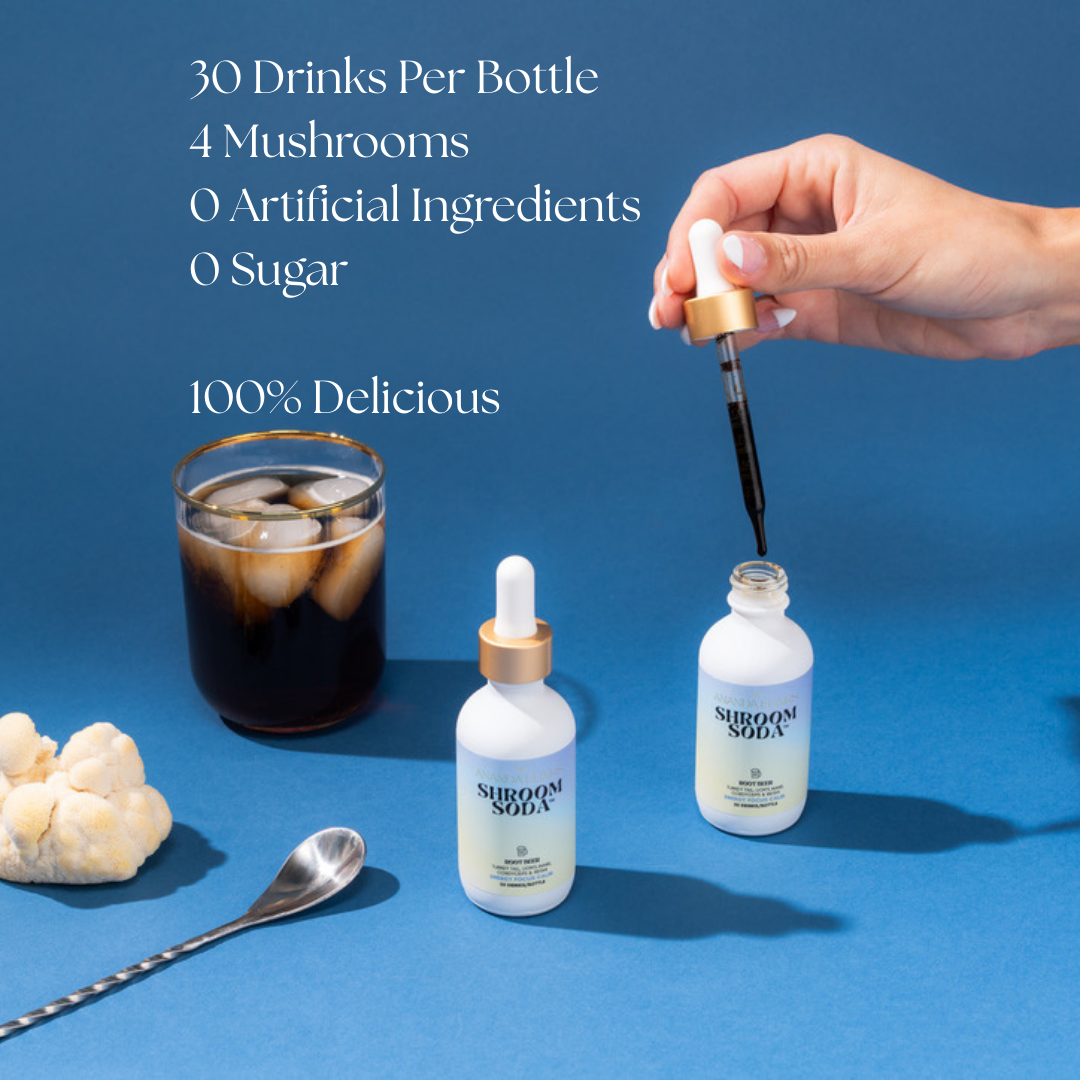Shroom Soda®: Root Beer