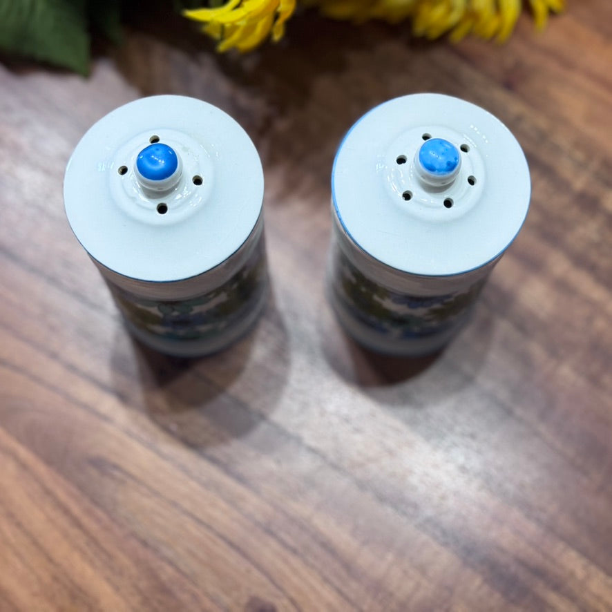 Flower Power Blue/Green/White Salt & Pepper Shakers