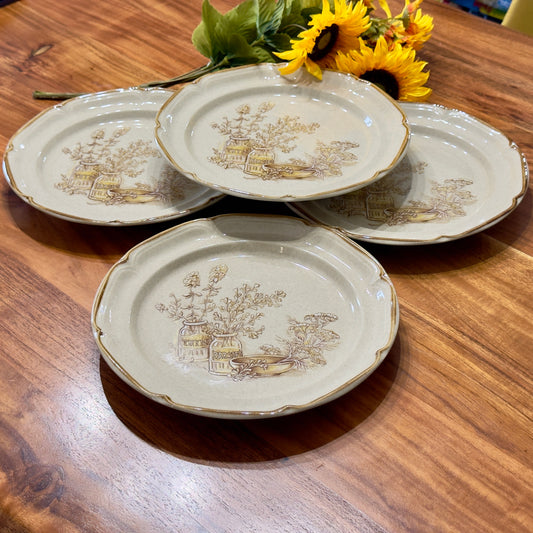 Sunmarc Homestead "Vinaigrette' Stoneware Dinner Plates