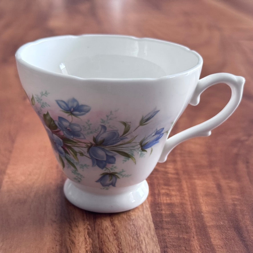 Royal Trent 'BlueBells' Teacup & Saucer