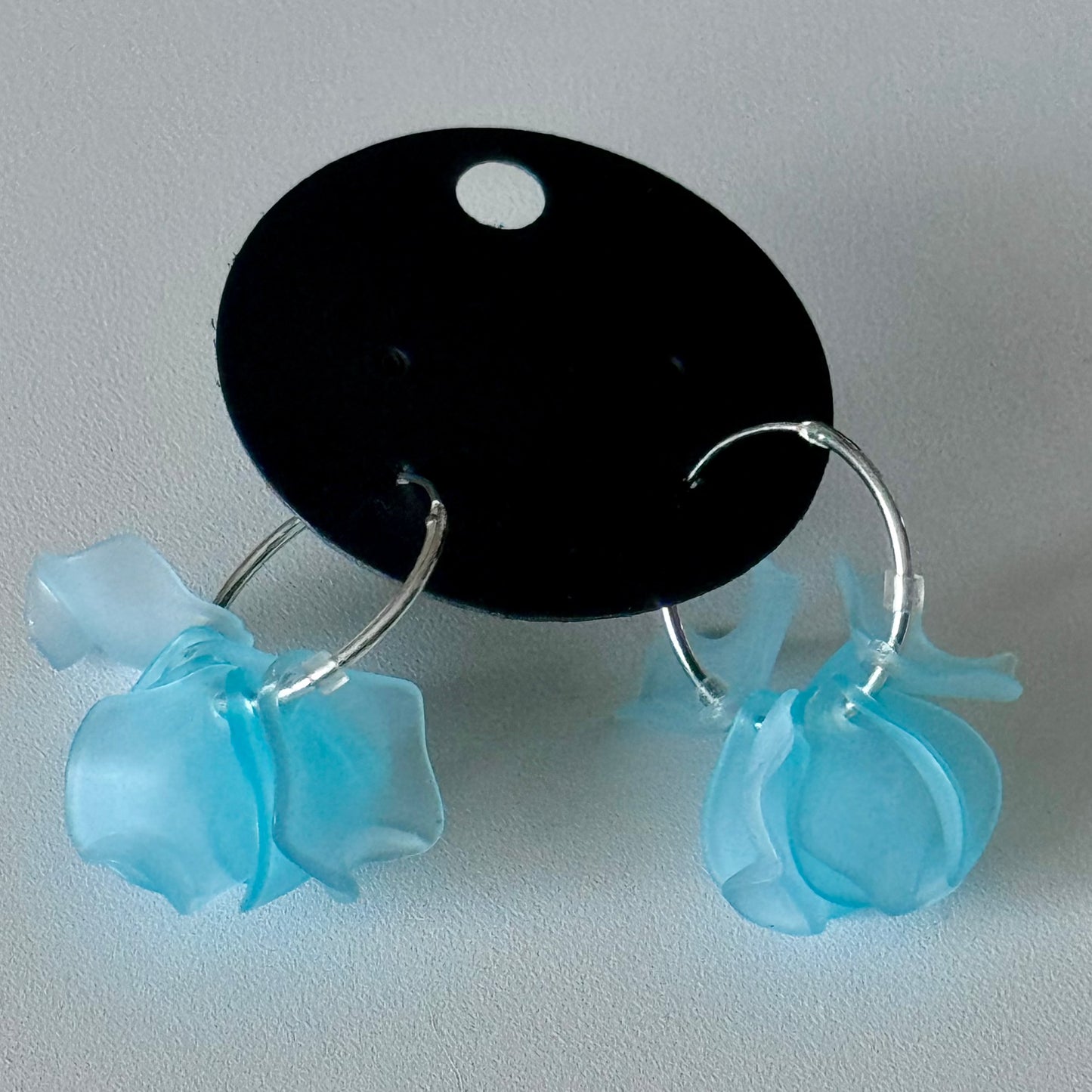 Sonia Ferland Earrings - Aqua hoops