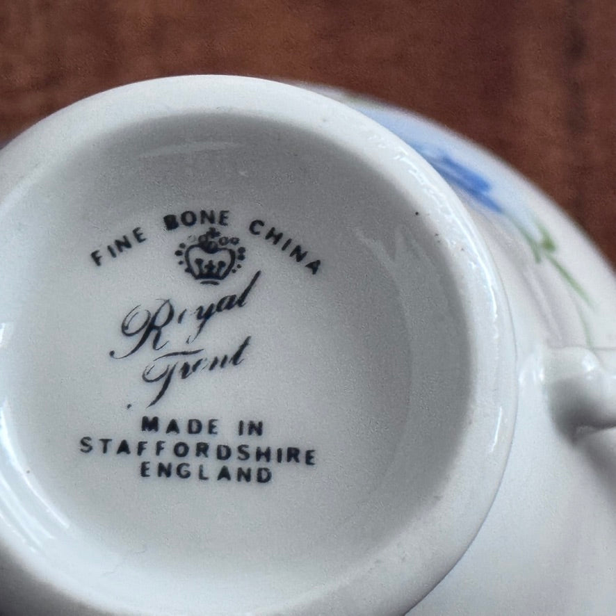 Royal Trent 'BlueBells' Teacup & Saucer
