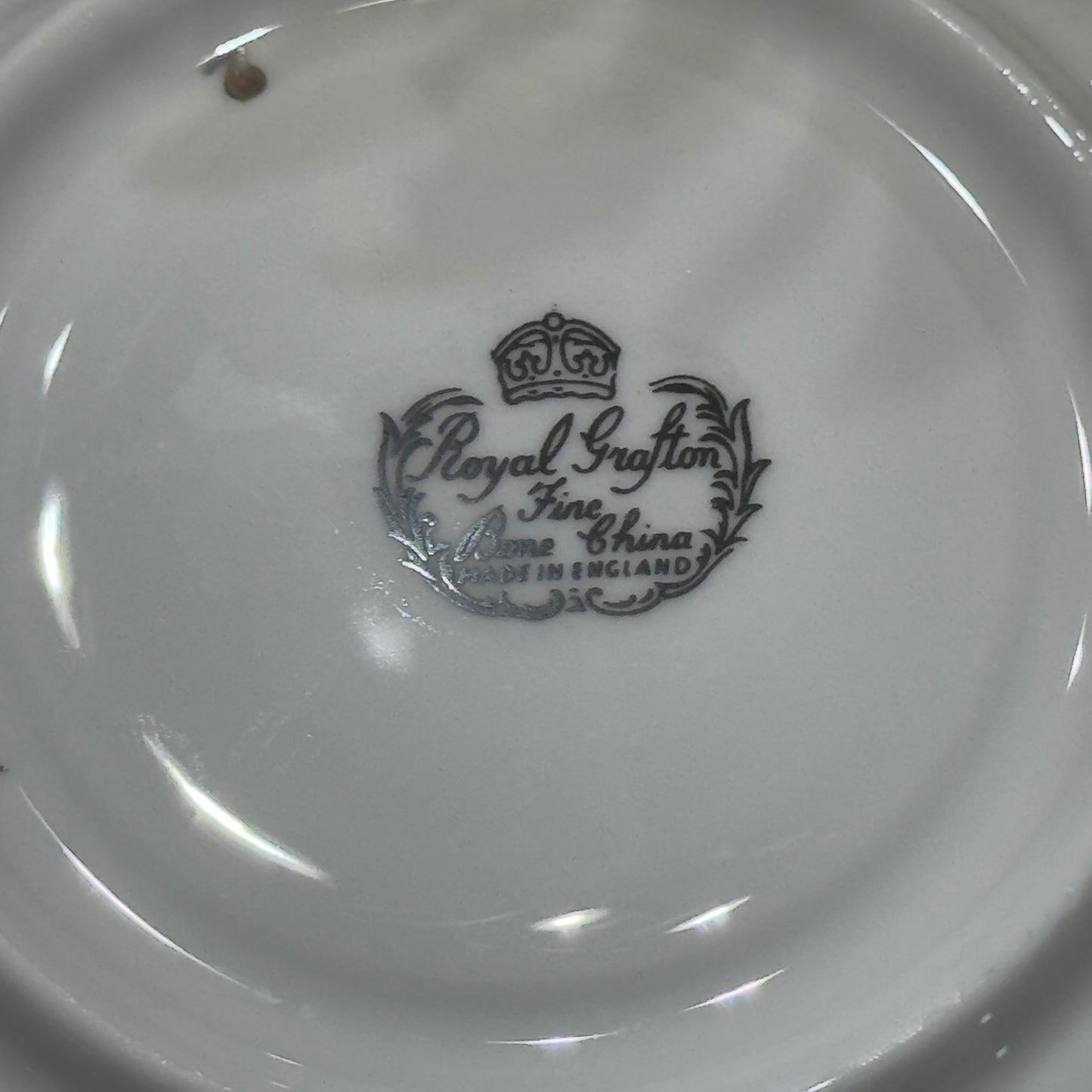 Royal Grafton Silver & Gold Floral Teacup & Saucer Set