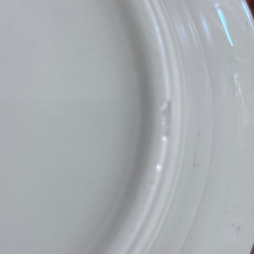 MYOTT SON & Co Hand Painted G.G. 1898 Dish Set