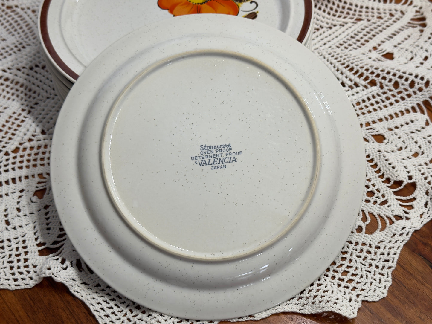 Valencia Japanese Stoneware Dinner Plates