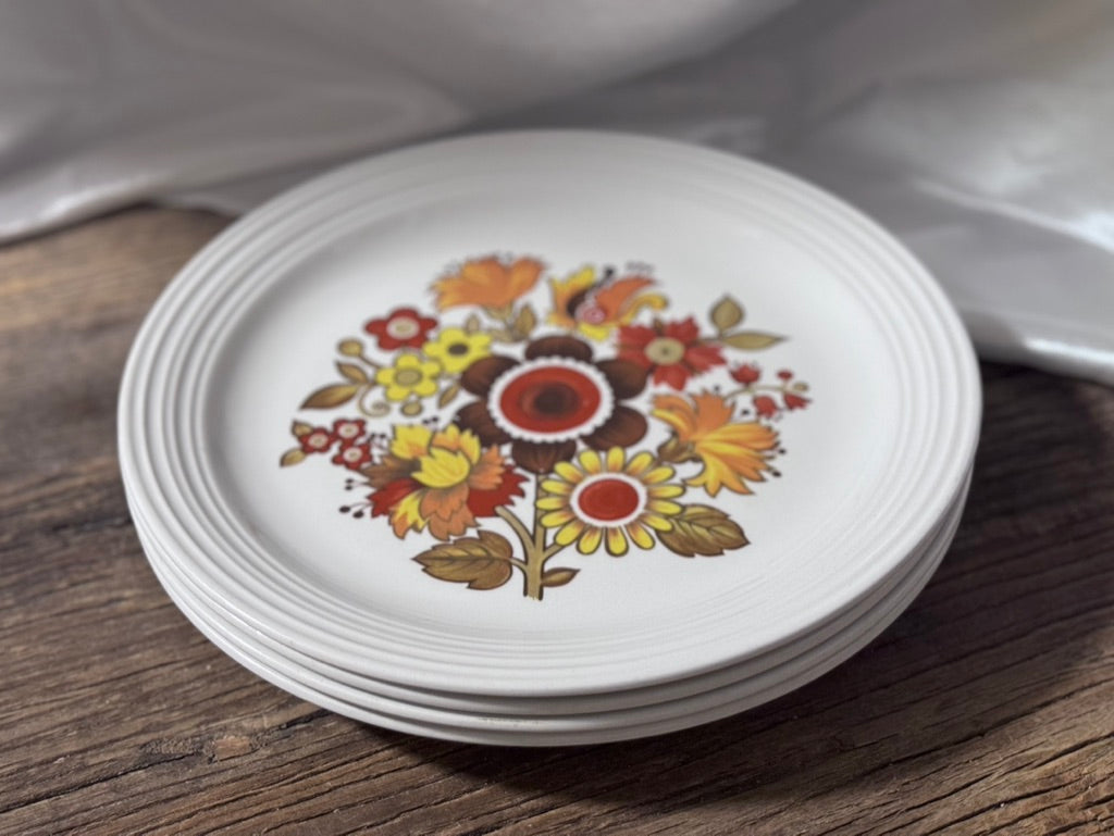 "Festival" Ironstone Myott Dinner Plates