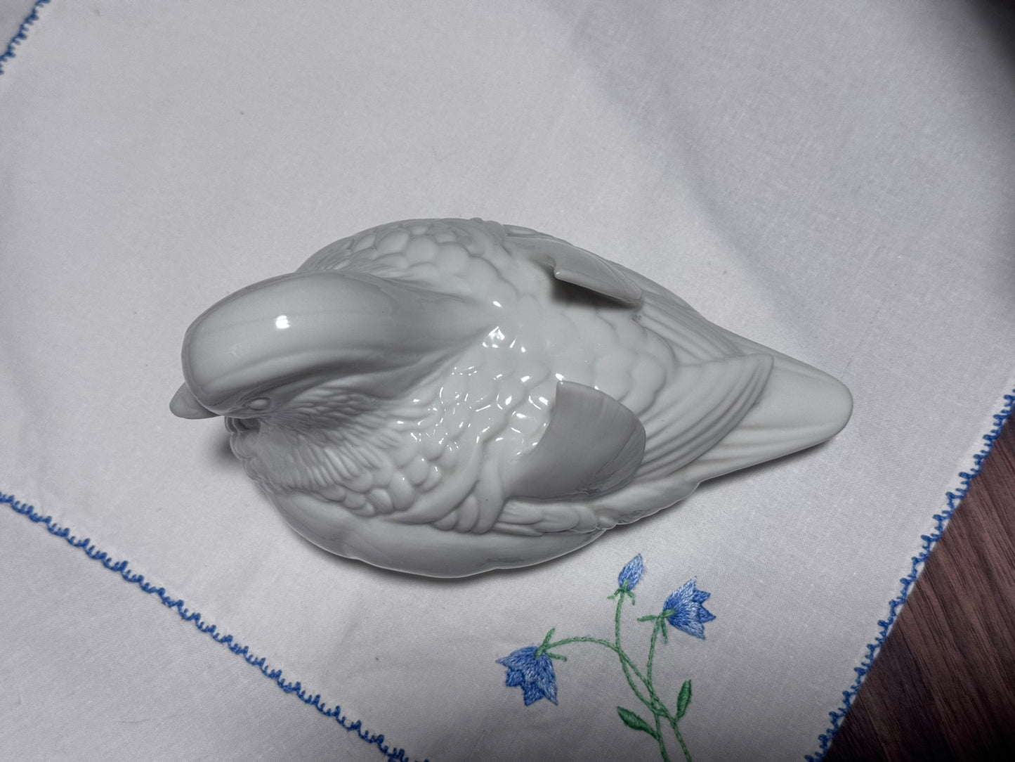 Japanese White Dove