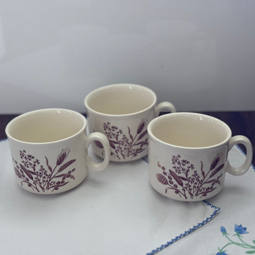 Royal Victoria "Harvest Home" Dinner Plates/Cups