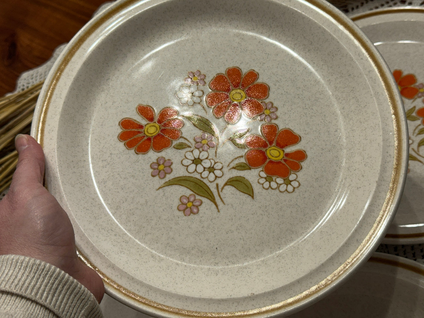 COLORSTONE Japan Dinner Plates