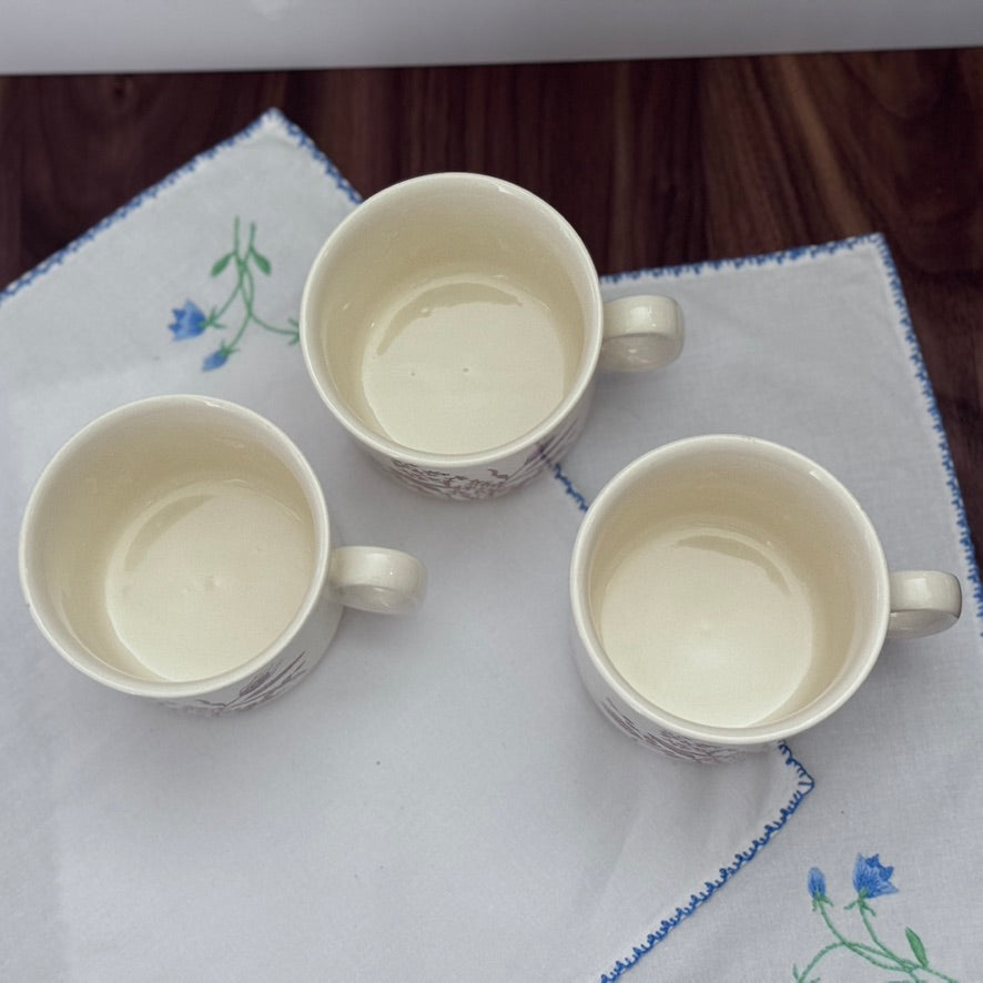 Royal Victoria "Harvest Home" Dinner Plates/Cups