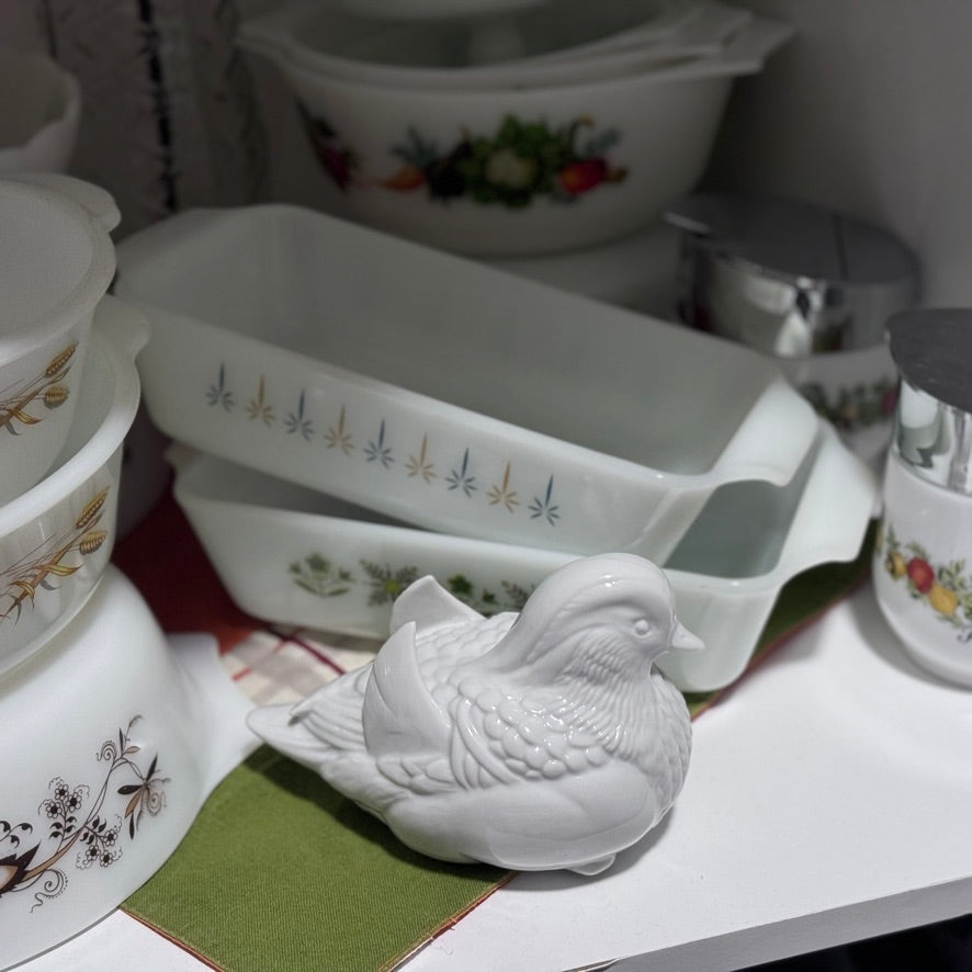 Japanese White Dove