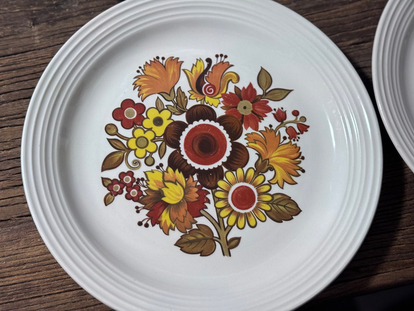 "Festival" Ironstone Myott Dinner Plates