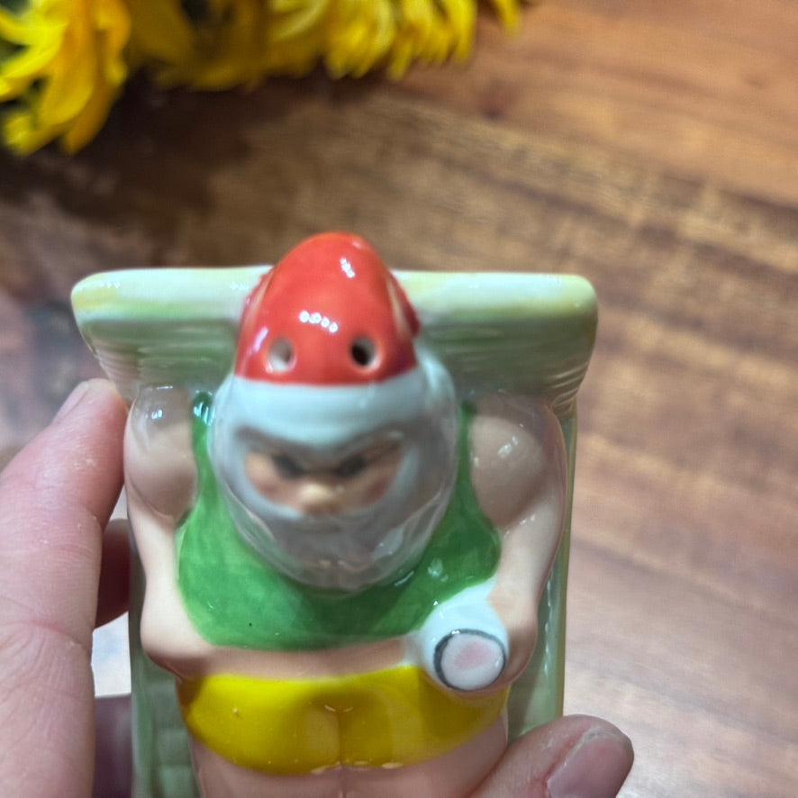 Vintage In Box Omnibus OCI Fitz & Floyd Tropical Christmas Salt & Pepper Shakers