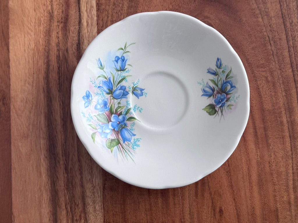 Royal Trent 'BlueBells' Teacup & Saucer