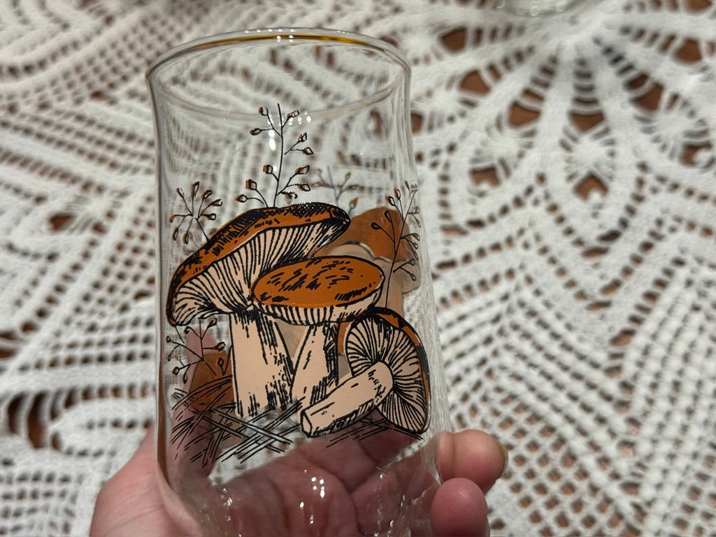 Vintage "Merry Mushroom" Brockway Drinking Glasses