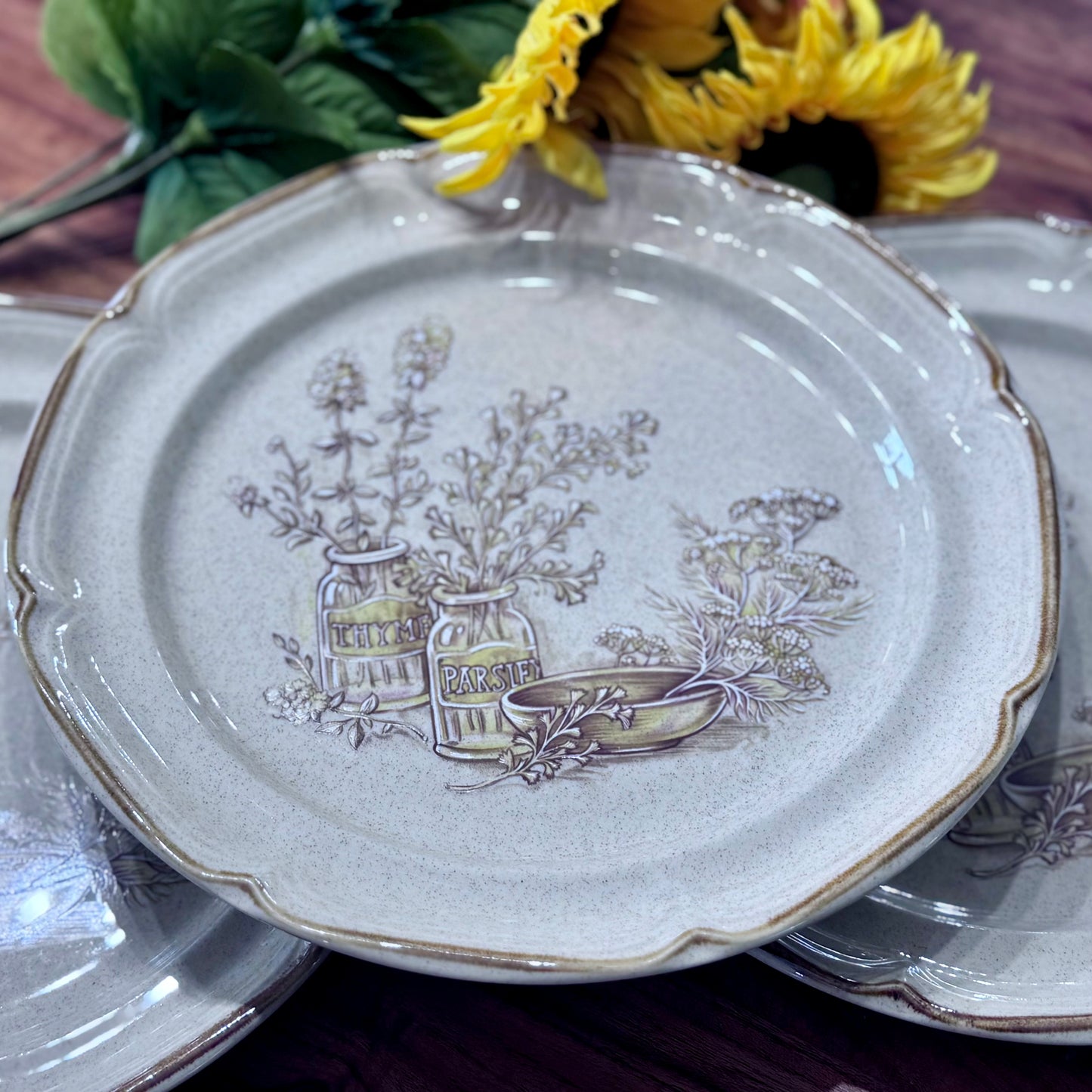 Sunmarc Homestead "Vinaigrette' Stoneware Dinner Plates