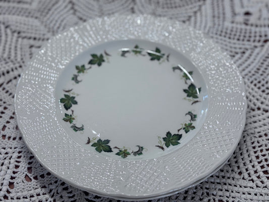 Burleigh 'Concorde' Dinner Plates