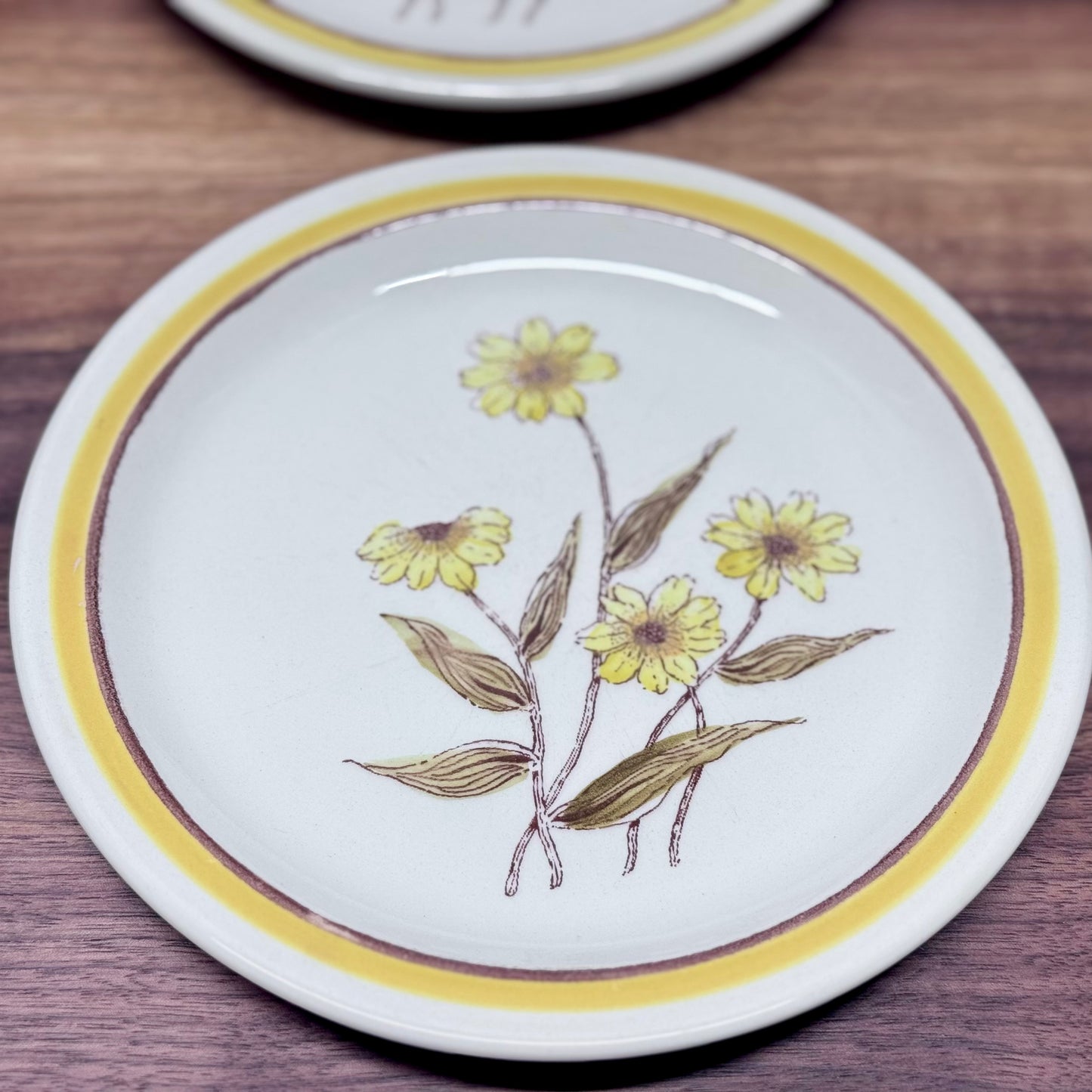 Forma Stone Hand Decorated Plates