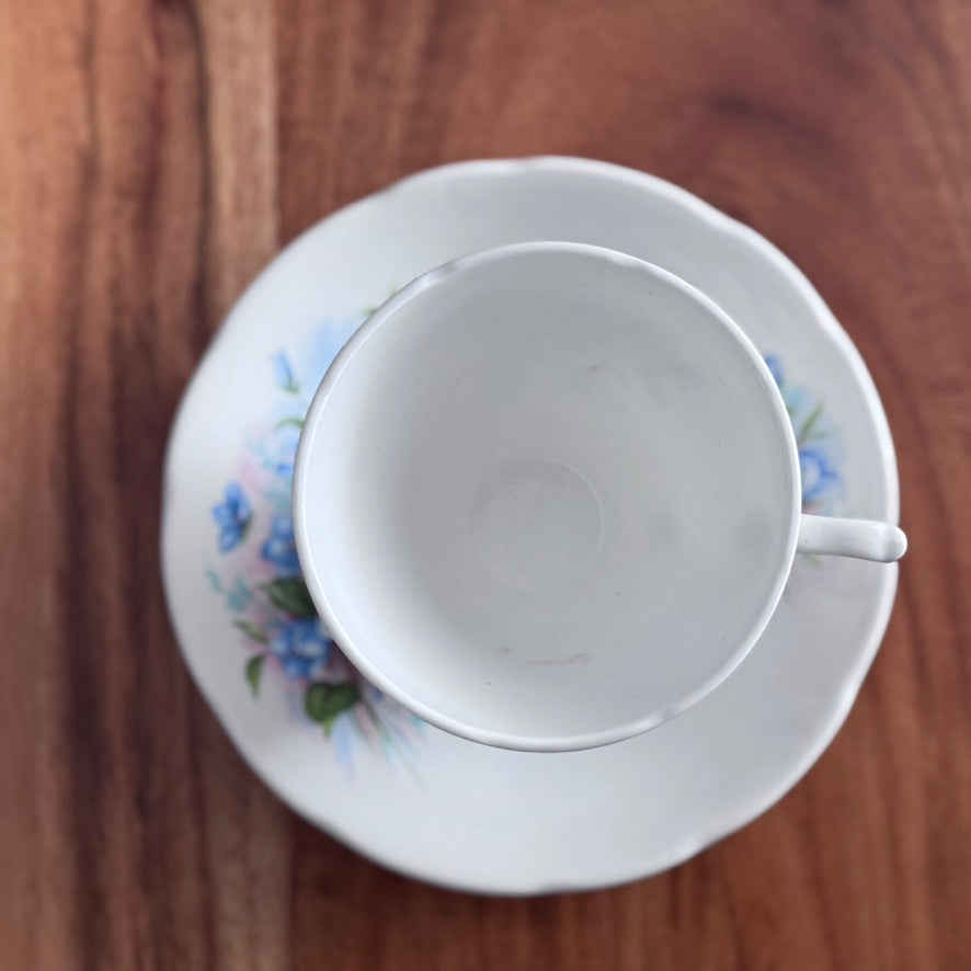 Royal Trent 'BlueBells' Teacup & Saucer