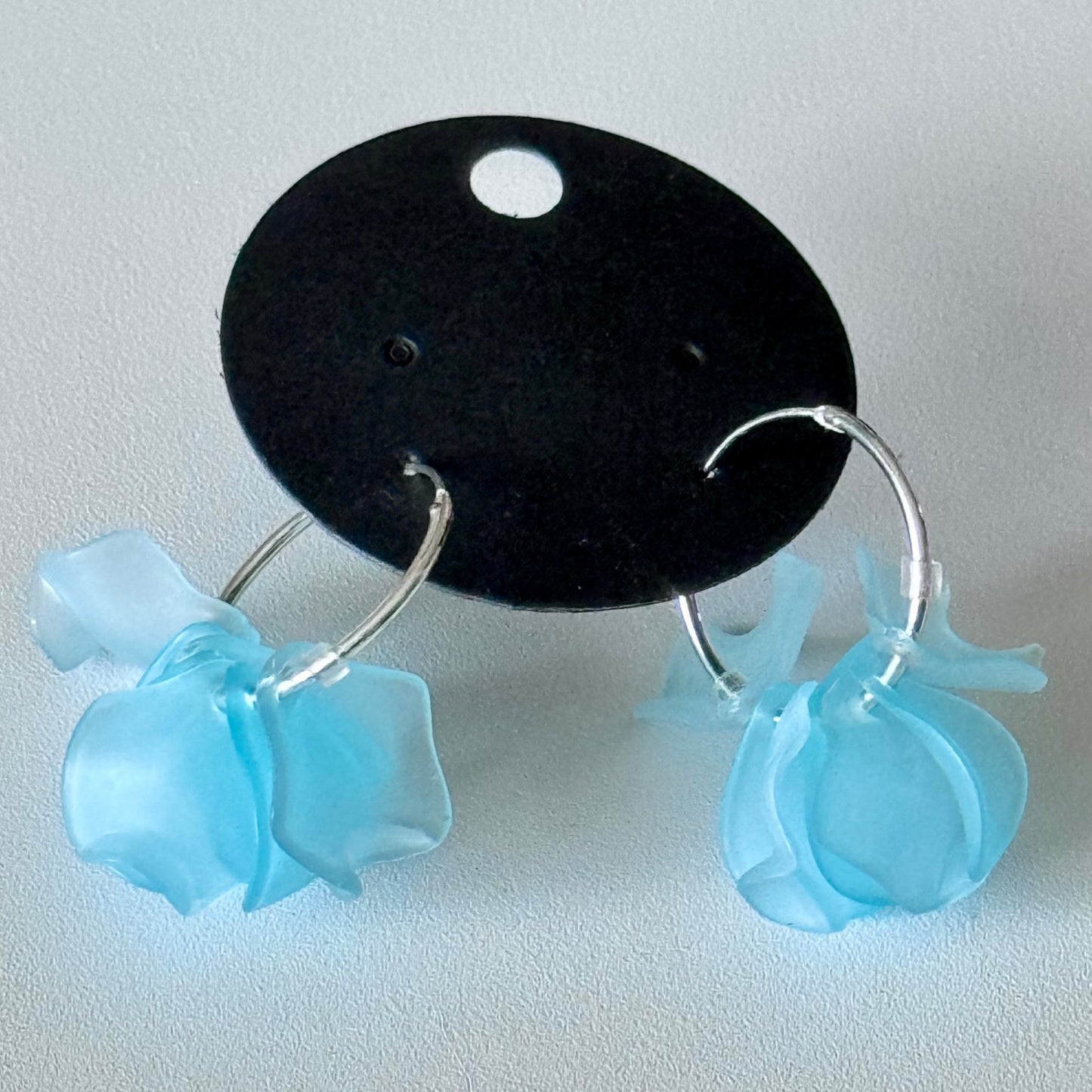 Sonia Ferland Earrings - Aqua hoops