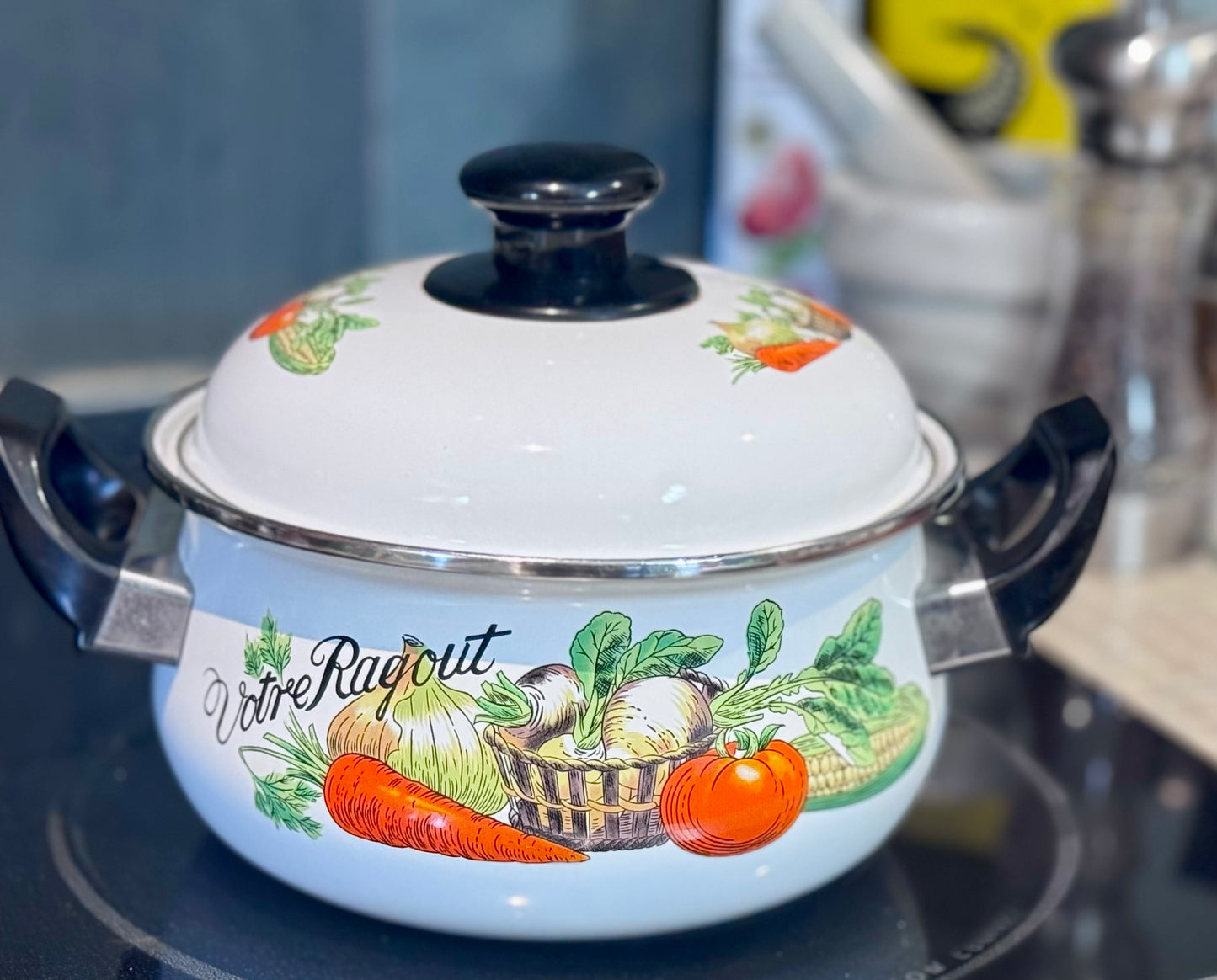 "Votre Ragout" Enamel on Steel Stockpot