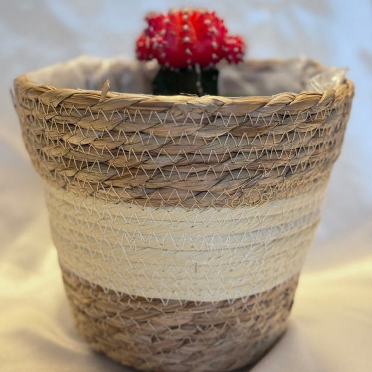 Woven Flower Pot Set