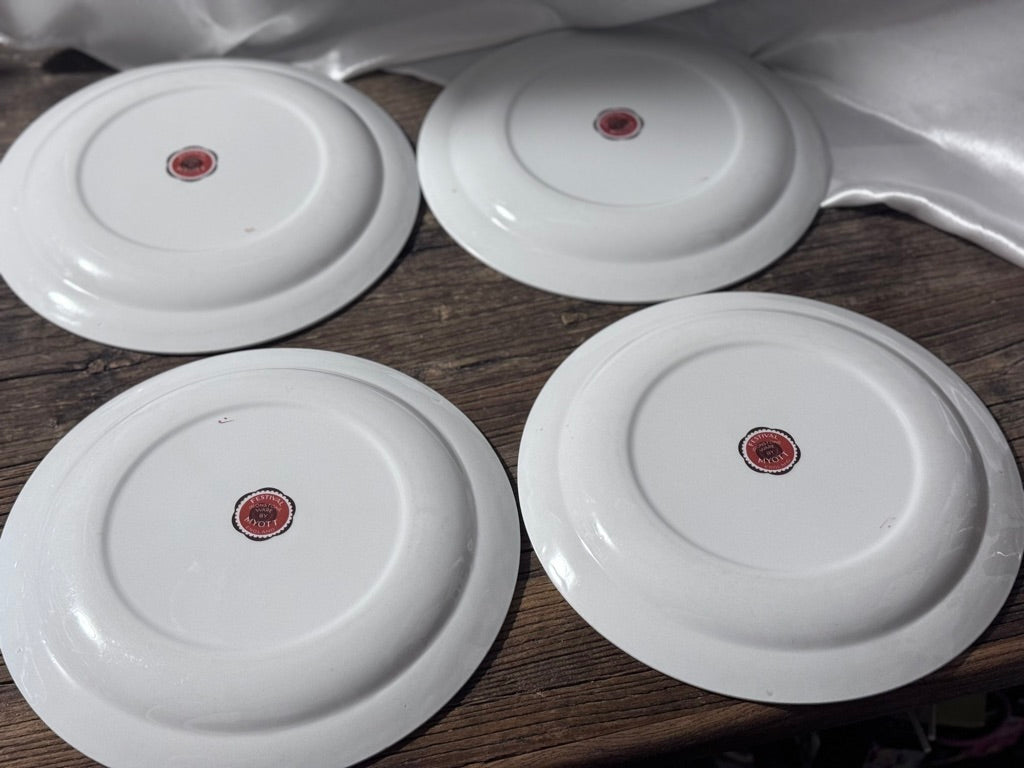 "Festival" Ironstone Myott Dinner Plates