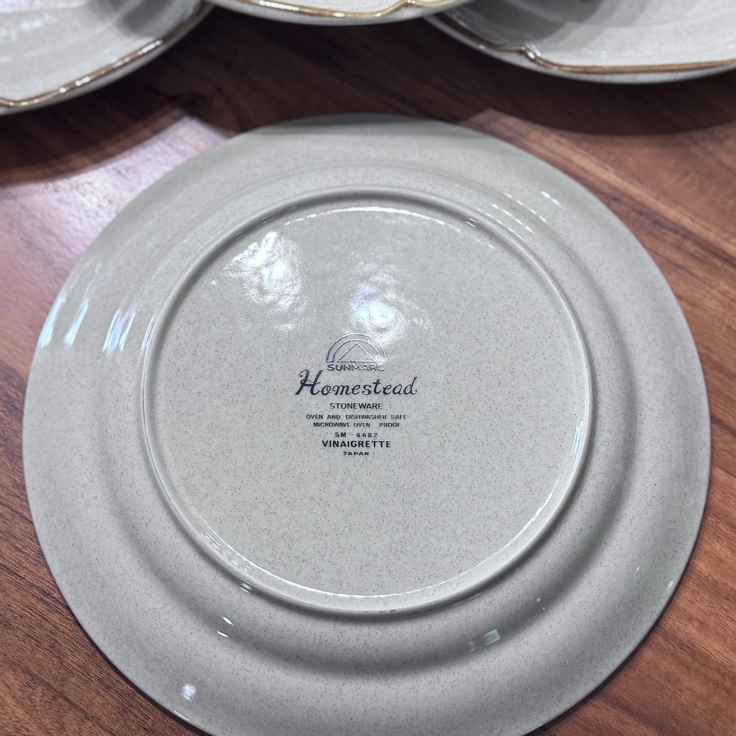Sunmarc Homestead "Vinaigrette' Stoneware Dinner Plates