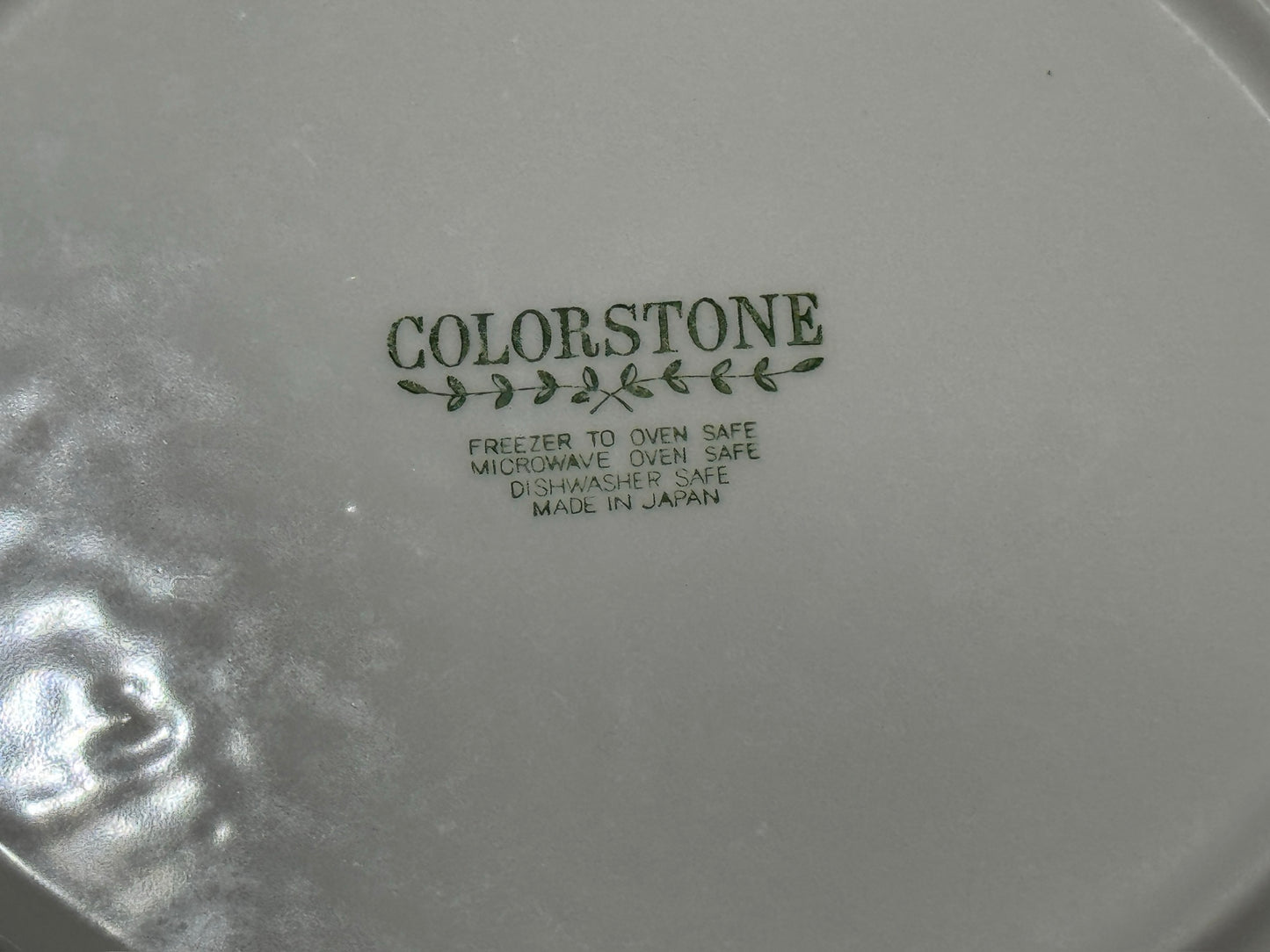 COLORSTONE Japan Dinner Plates