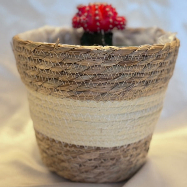 Woven Flower Pot Set