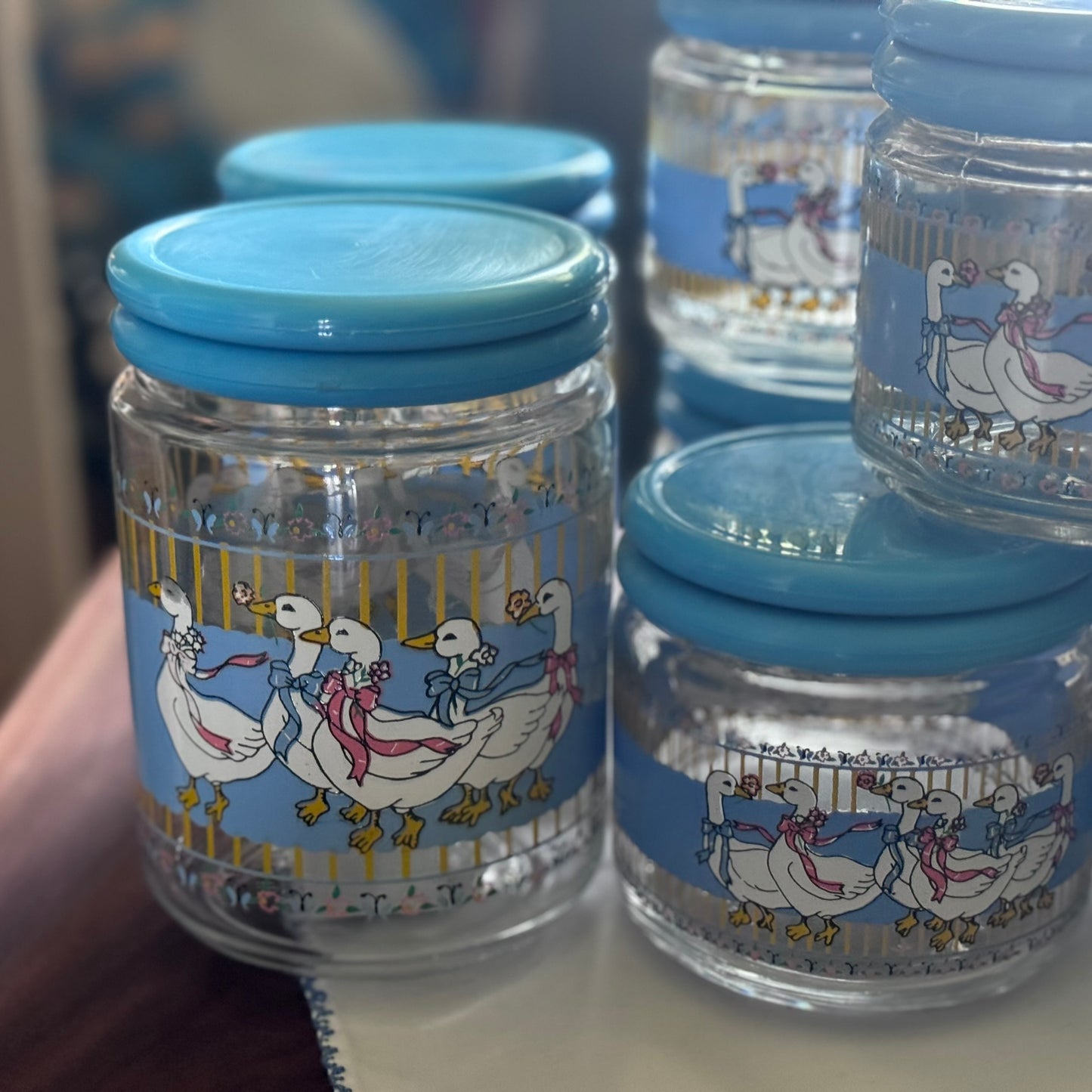 Kig Indonesia Geese Glass Canisters/Jars