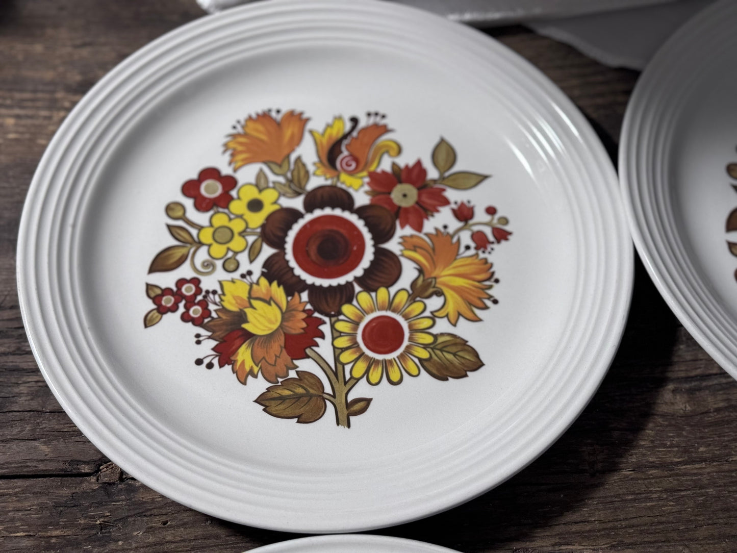 "Festival" Ironstone Myott Dinner Plates