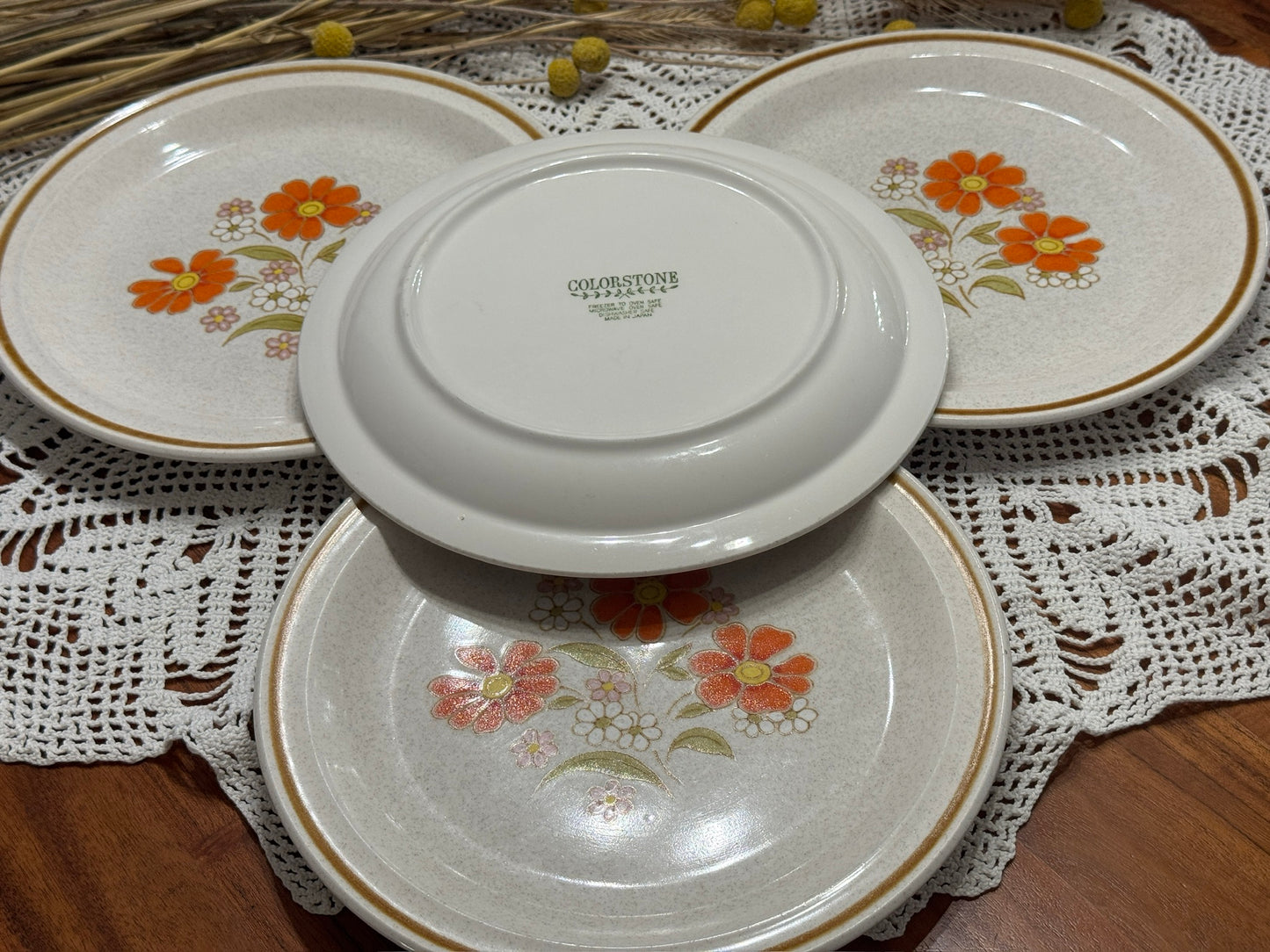 COLORSTONE Japan Dinner Plates