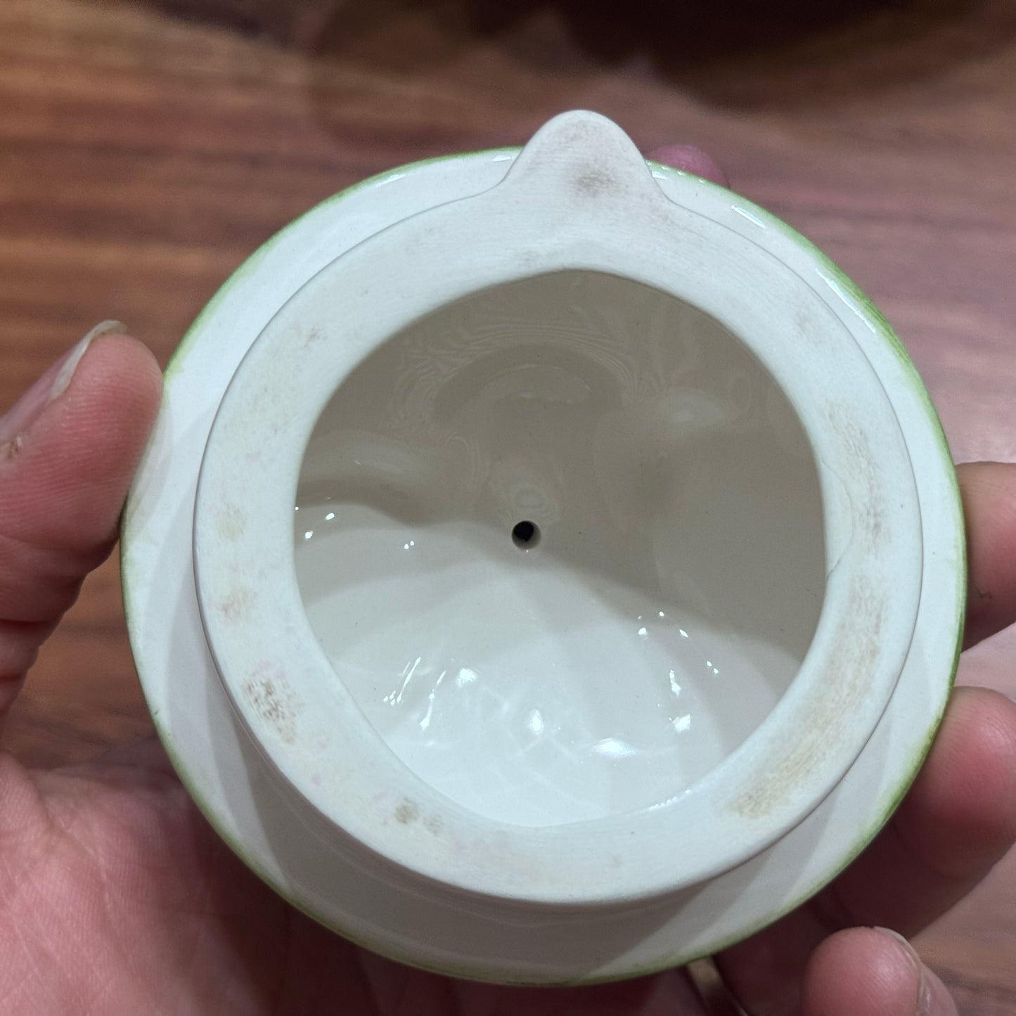 Frog Majolica Teapot