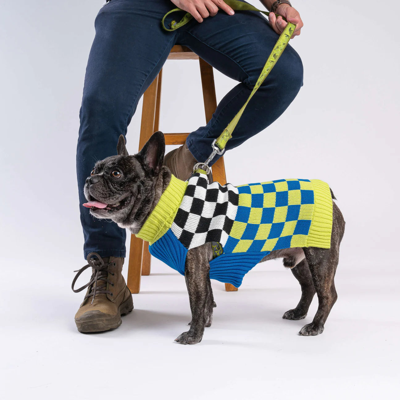 XS Dog Sweater