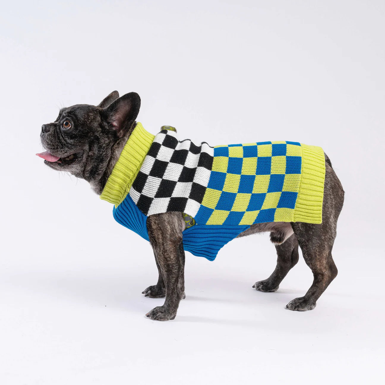 XS Dog Sweater