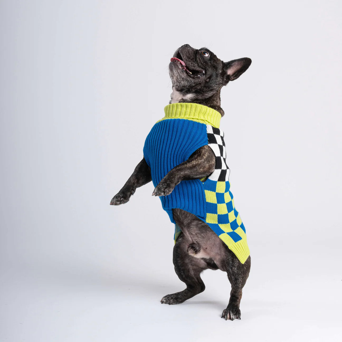 S Dog Sweater