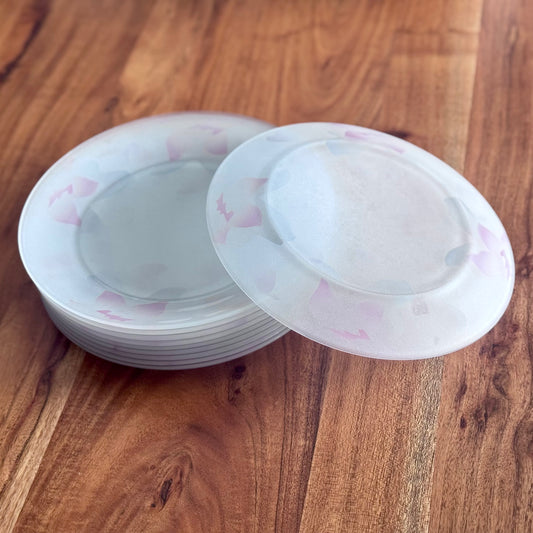 Arcoroc France Frosted Glass Dinner Plates