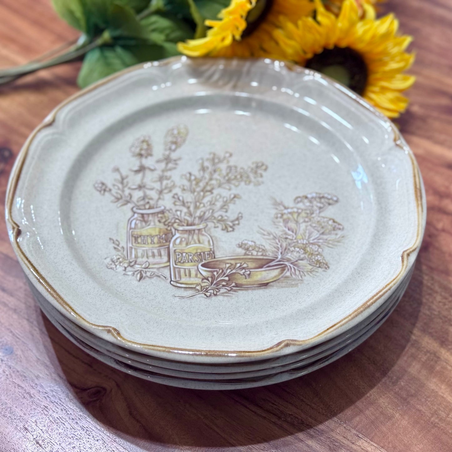 Sunmarc Homestead "Vinaigrette' Stoneware Dinner Plates