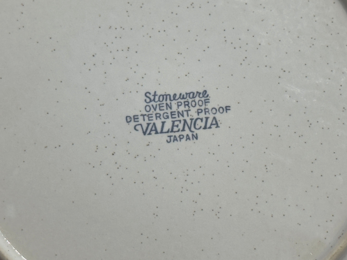 Valencia Japanese Stoneware Dinner Plates
