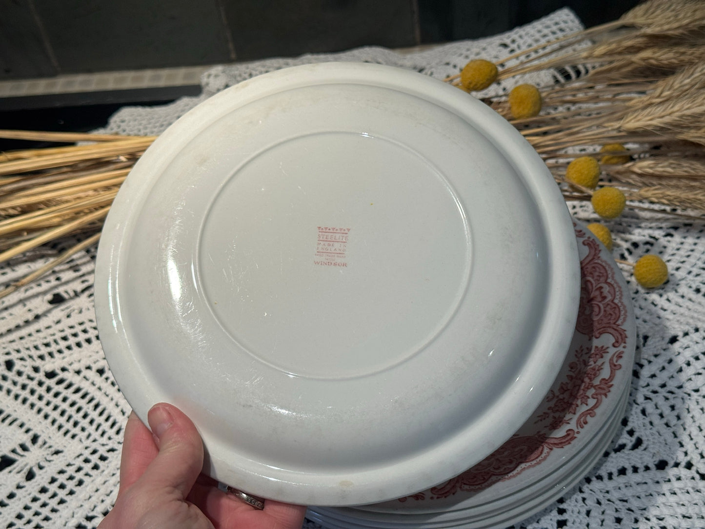 Vintage WINDSOR Steelite Ironstone Pink Transferware Floral Plates