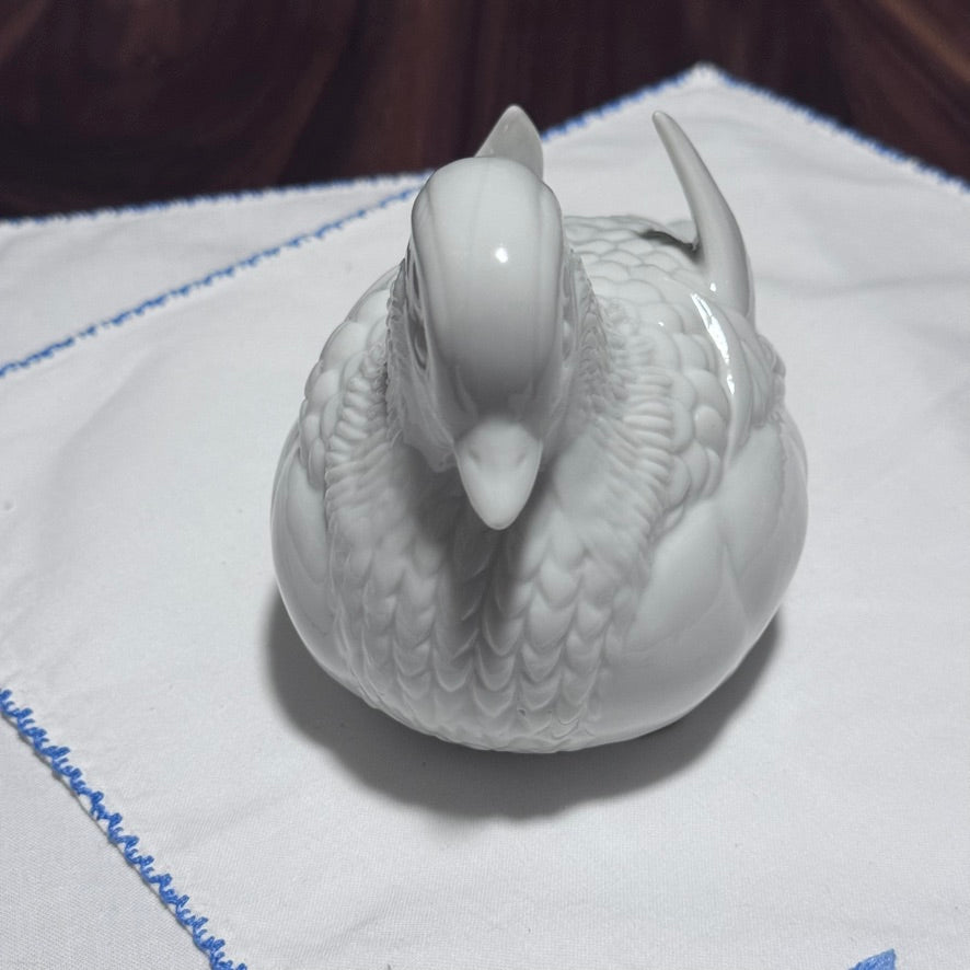 Japanese White Dove